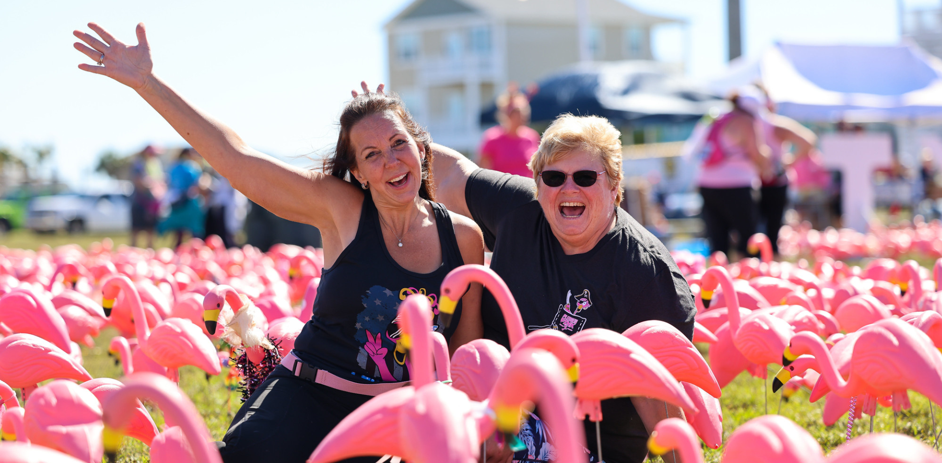 Pledge the Pink 3-Day, 30-Mile Walk for Breast Cancer - For 3 Sisters